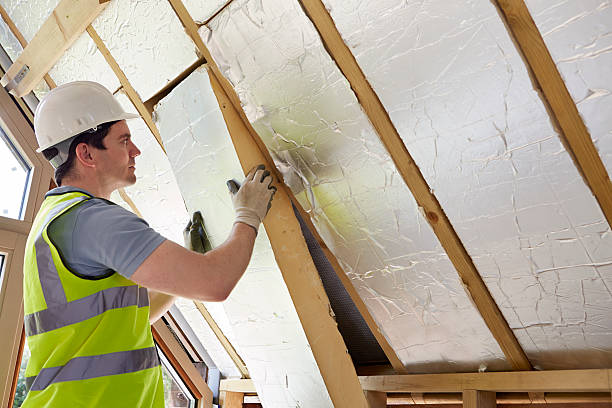 Best Insulation Maintenance and Repair in Moline, IL